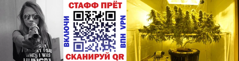 Купить наркотик Ельня Кокаин Мефедрон Гашиш АМФ Канабис