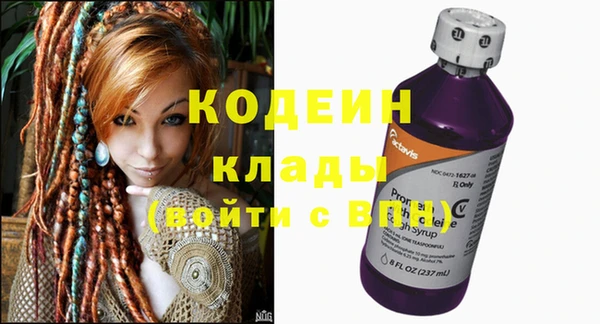 индика Мегион