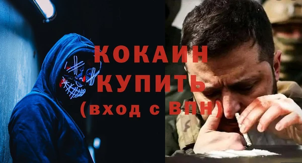 индика Мегион