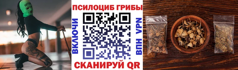 Псилоцибиновые грибы Psilocybine cubensis  Ельня 